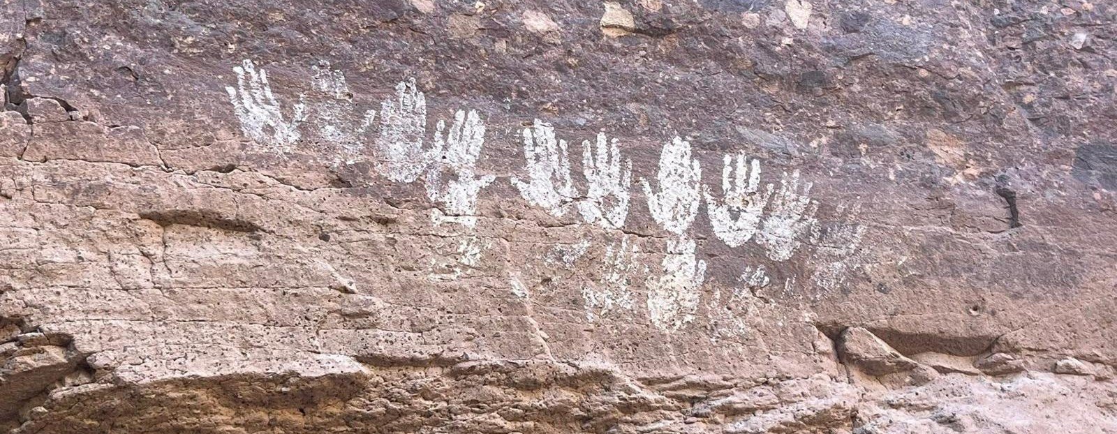 En el Desierto de B.C.S.